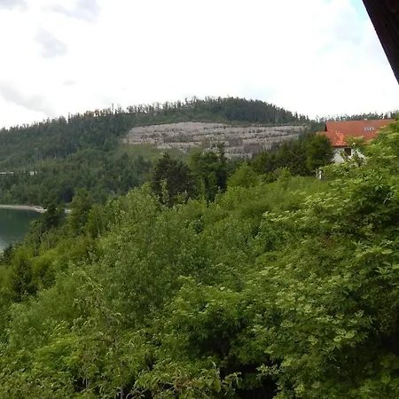 Chalet Felicita Fužine